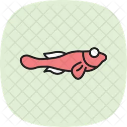 Blenny  Icon