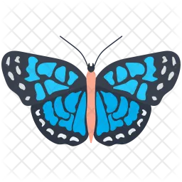 Papillon Morpho Bleu  Icône