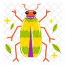 Blister Beetle  Icon