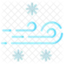 Blizzard Weather Winter Icon