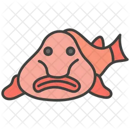 Blobfish  Icon