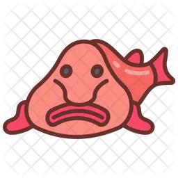 Blobfish  Icon