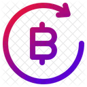 Blockchain Coin Bitcoin Icon