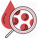 Blood Cell Icon