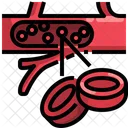 Blood Cell Blood Body Part Icon