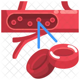 Blood Cell  Icon
