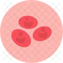 Blood Cell  Icon