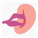 Blood Cell  Icon