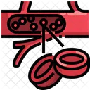 Blood Cell Blood Body Part Icône