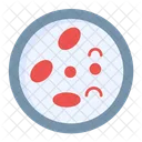 Blood Red Blood Cells Cells Icon