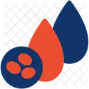 Blood Cells  Icon