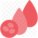 Blood Cells  Icon