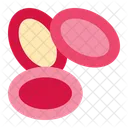 Blood Cells Anatomy Vascular Icon