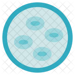 Blood Cells  Icon