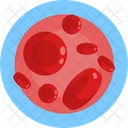 Human Anatomy Blood Cells Red Blood Cells Icon