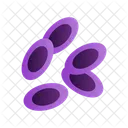 혈액 세포 혈액 세포 아이콘