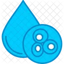 Blood Cells Blood Cells Icon