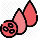 Blood Cells  Icon