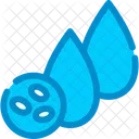 Blood Cells  Icon
