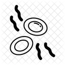 Blood Cells  Icon
