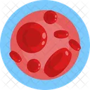 Blood Cells  Icon
