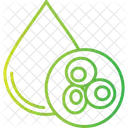 Blood Cells  Icon