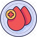 Blood Drop  Icon