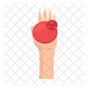 Blood Donation Gift Icon