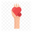 Blood Donation Gift Icon