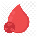 Blood Donation Gift Icon