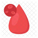 Blood Donation Gift Icon