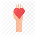 Blood Donation Gift Icon