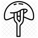 Blood filter  Icon