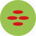 Blood Cell Cells Icon