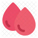 Blood Transfusion Blood Drop Icon