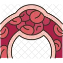 Blood Clot Coagulation Icon