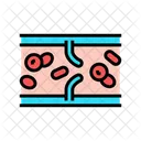 Blood Vein Icon