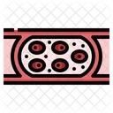 Blood vessel  Icon