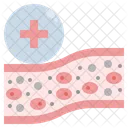 Blood vessel  Icon