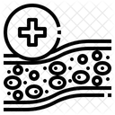 Blood vessel  Icon