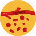 Blood Vessels  Icon