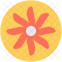 Bloodroot Flower Spring Icon
