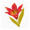 Bloom  Symbol
