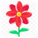 Bloom Flower Nature Icon