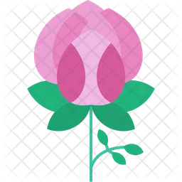 Bloom  Icon