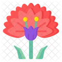 Bloom Flower  Icon