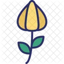 Bloom  Icon