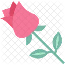 Blooming Flower Romance Symbol Icon