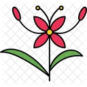 Blooming Colorful Decoration Icon