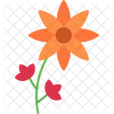 Blooming Decorative Flower Icon